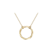 Circle Ring Necklace